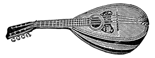 Mandolin/String Instrument, vintage illustration.