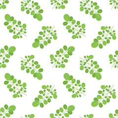 Wall Mural - Vector seamless pattern background with green moringa oleifera leaves.