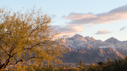 Canvas Print - Arizona Landscape