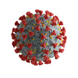 Fototapeta  - Corona virus
