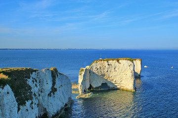 Wall Mural - Old Harry Rocks cliffs on the southern coast of England