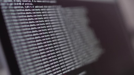 Wall Mural - programming code development scrolling on computer screen