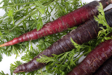 Poster - Violet carrots and leaves