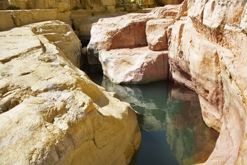 Wall Mural - Mountain stream.