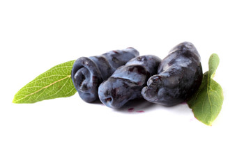 Poster - Honeysuckle berries isolated on white