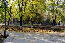 Autumn Park, Morning Of A Sunny Day Fallen Leaves In The Sun.