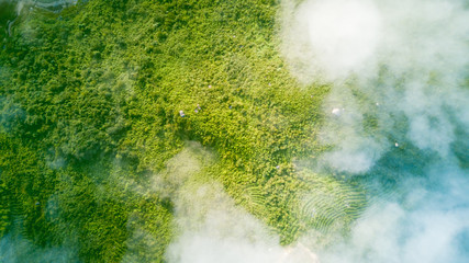 Wall Mural - Aerial view of the sea of clouds