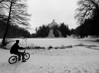 Wall Mural - winter