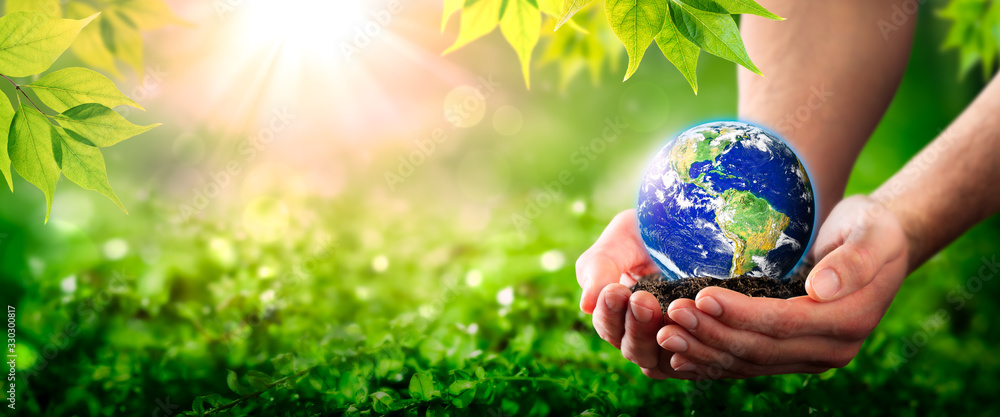 Hands Holding Planet Earth On Soil In Lush Green Environment With Sunlight - The Environment Concept - Some Elements Of This Image Were Provided By NASA - obrazy, fototapety, plakaty 