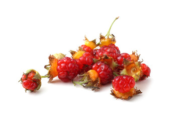 Wall Mural - Korean raspberry (Rubus crataegifolius)