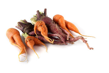 Wall Mural - Funny violet and orange carrots