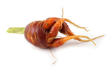 Canvas Print - Funny ugly carrot isolated on white