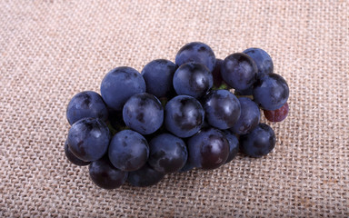 Poster - Black wine grape on bagging