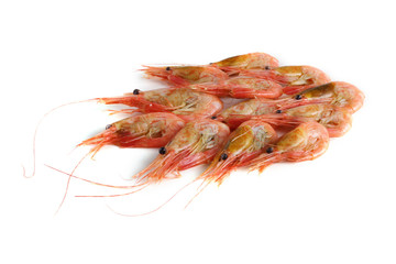 Sticker - Shrimps isolated on white