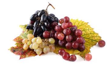 Sticker - Grape on autumn leaves. Different color grape