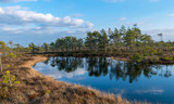 Fototapeta Na ścianę - Still water with trees in the swamp land of Kemeri National Park in Latvia