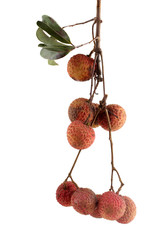 Wall Mural - Lychee isolated on white