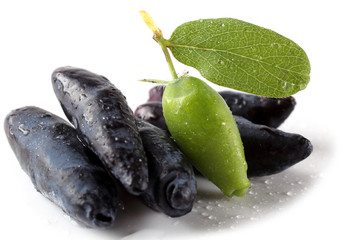 Poster - Honeyberry isolated on white. Ripe and unripe berries