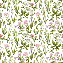 Watercolor seamless pattern with wild meadow flowers and herbs. Botanical background with pink flowers and grass for covers, textile, poster, kitchen stuff.