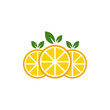 © pambudi - lemon icon vector logo template