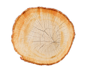 Wall Mural - felled piece of wood from a tree trunk with growth rings isolated on white. natural vintage wood tex