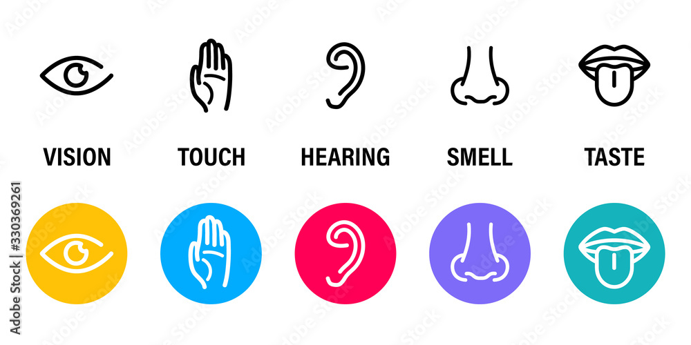 Five human senses: Hearing, Sight, Smell, Taste and Touch. Simple line ...