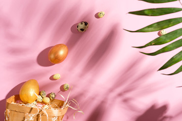 Wall Mural - Creative background with painted Easter chicken and quail eggs and big shadows from tropical exotic green twig on a pastel pink background.