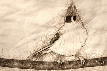 Sticker - Sketch of a Tufted Titmouse Perched on a Slender Tree Branch