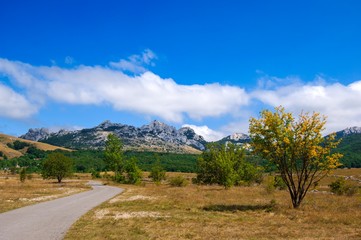 Canvas Print - mountain