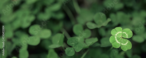 Fotografía Good luck four leaf clover standing out from a field of clovers