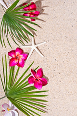 Wall Mural - Red frangipani flowers and green palm leafs with starfish on sand background, top view, copy space., vertical composition