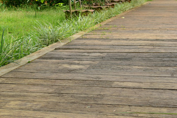 Wall Mural - concrete brick pathway in green natural park