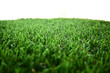 empty green grass turf floor artificial with white background
