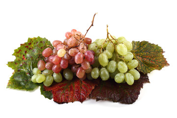 Poster - Grape on autumn leaves