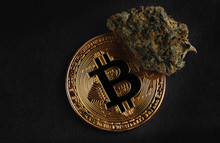 Medical Marijuana, Cannabis Bud With Bitcoin On The Black Background