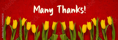 Fotografía Red Wooden Background With English Text Many Thanks