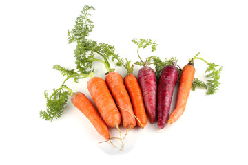 Canvas Print - Red and orange carrots