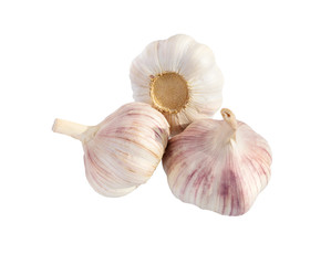 Wall Mural -  Garlic isolated on white.