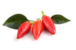 © Alex Coan - Three hot peppers with leaves