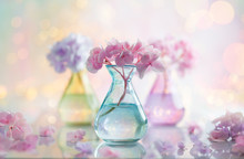 Bouquets Of Beautiful Hydrangea In Colorful Glass Vases Over Bokeh Background. Home Interior Decor.