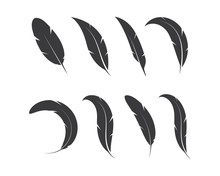 Feather Icon Illustration Vector Template