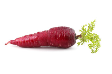 Poster - Red carrot with leaf