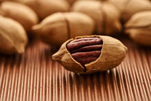 Fresh Pecan Nut Close-up