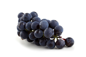 Poster - Black wine grape