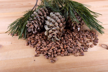 Canvas Print - Cedar pine nuts