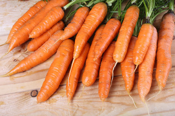 Carrots harvest