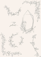 Wall Mural - Collection of line drawing ivy plant vector floral wreaths, geometric frame, hand drawn corners with branches, leaves, plants, herbs. Botanical illustration. Leaf logo. Wedding invitation, monogram