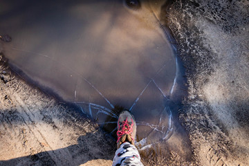 frozen water in spring forest walk 