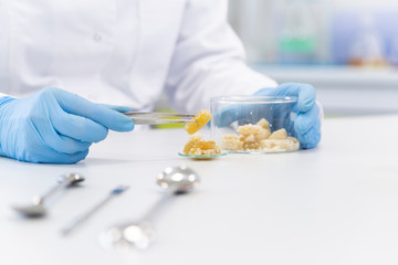 Hands working with terpene CBD crystals in laboratory with tweezers