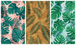 Seamless tropical pattern with monstera leaves and palm tree branches, set of vector summer backgrounds
